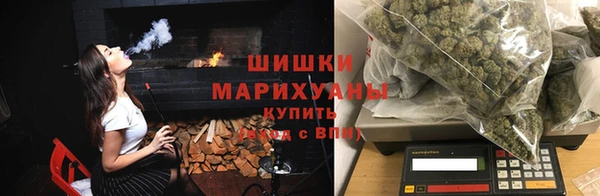 прущие грибы Алзамай