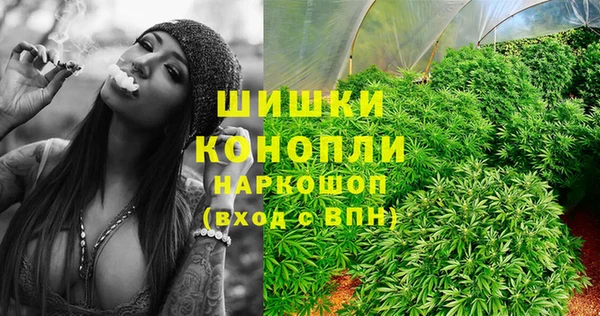 прущие грибы Алзамай