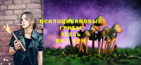 кокаин Алексин