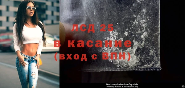 прущие грибы Алзамай